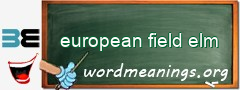 WordMeaning blackboard for european field elm